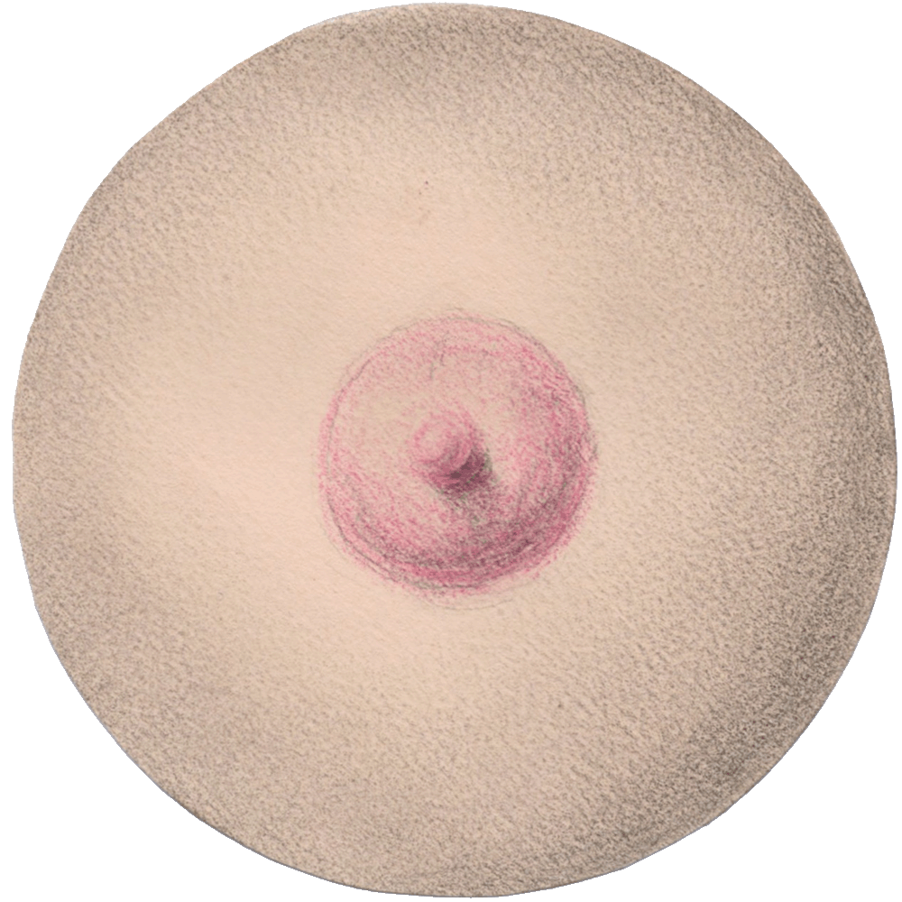 Mexican in the Desert